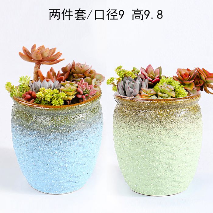 More meat meat plant POTS ceramic special offer a clearance through pockets tao cuhk small caliber mage high old from running