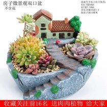 Creative personality Medium large caliber multi-mouth house ornaments Micro landscape household meat plant pots old pile pots