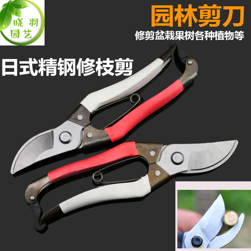 Day-style fine steel pruner cut gardening scissors whole branches flower branches cut branches off fruit and cut garden tools coarse branches florin wood