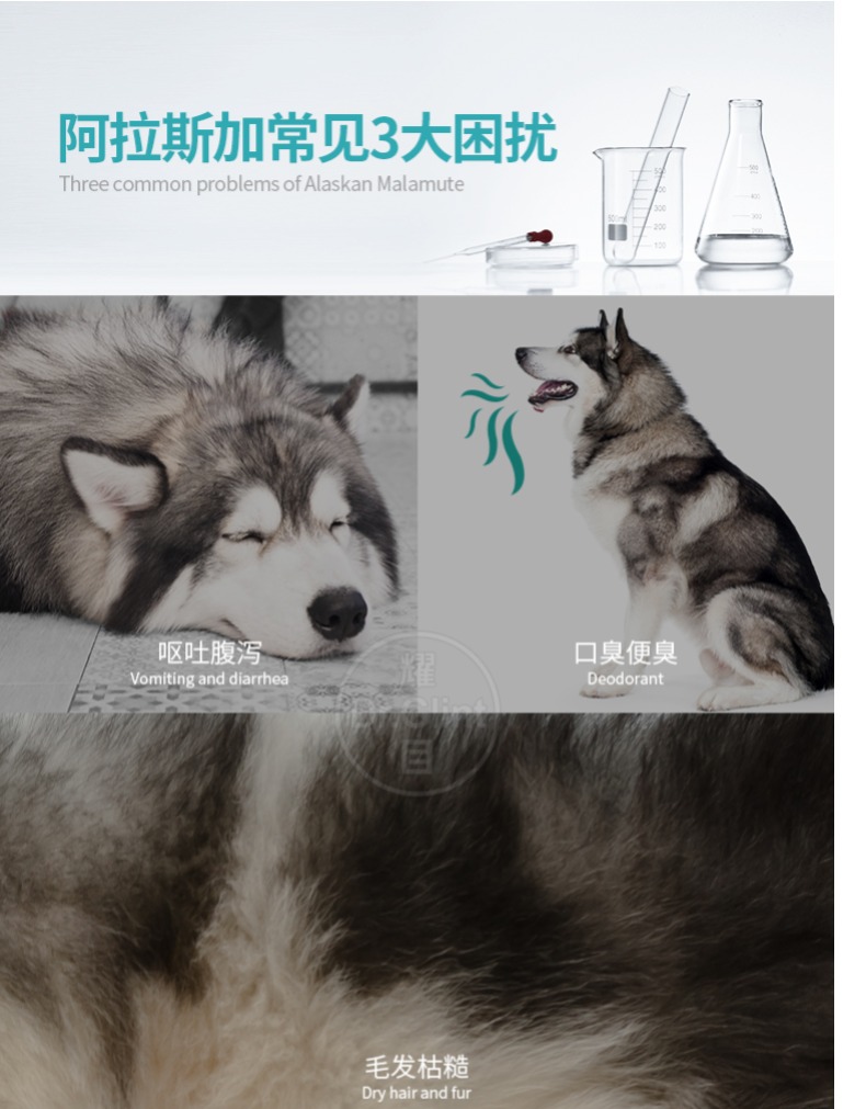 Thức ăn cho chó Alaska rực rỡ đặc biệt chó con 2-3-6 tháng tuổi chó trưởng thành thức ăn tự nhiên cho chó to xé 4 kg - Chó Staples thức ăn khô cho chó