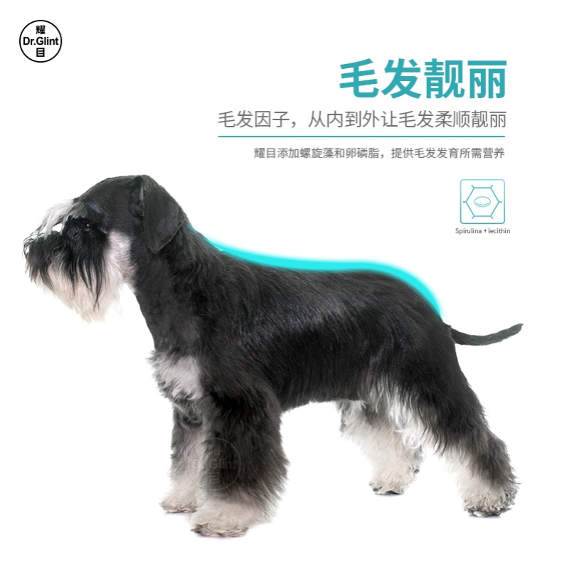 Shine Schnauzer chó con thức ăn cho chó nhỏ thức ăn đặc biệt thực phẩm tự nhiên bổ sung canxi làm đẹp chăm sóc tóc đến rách 4 kg - Chó Staples thức ăn royal canin