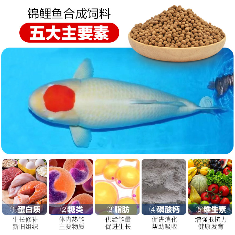 日本锦鲤鱼饲料,如何让爱鱼更艳丽?🌈-观赏鱼饲料-淘宝好物网