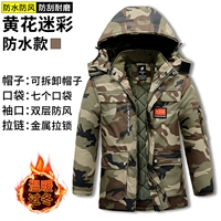 918 [Желтая цветочная водонепроницаемая хлопчатобумажная куртка]