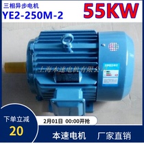 YE2 series three phase asynchronous motor YE2-250M-2 55KW 2 pole three phase asynchronous motor motor