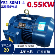 YE2 series three phase asynchronous motor YE2-80M1-4 0 55KW 4 pole three phase asynchronous motor motor