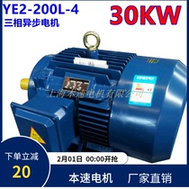 YE2 series three-phase asynchronous motor YE2-200L-4 30KW 4-pole three-phase asynchronous motor Shanghai