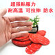 3M双面胶强力汽车VHB小圆片手机支架行车记录仪ETC高粘性耐高温