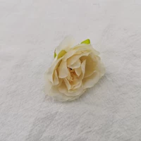 Светлый абрикосовый желтый