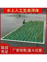 Зеленая рыба и овощные симбиоз Новое плавающее островное озеро экологическое экологическое плавающее плавучие кровати круглые полые овощи и рис плавучий доска посадка