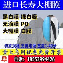 Black and white film chicken greenhouse imported thickened metallocene sun protection anti-aging green and white film greenhouse film drip-free film