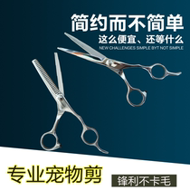Pet Beauty Scissors Straight Cut Teeth Cut Suit 6 6 5 Inch Teddy Pooch Pooch Hair Cut special tool