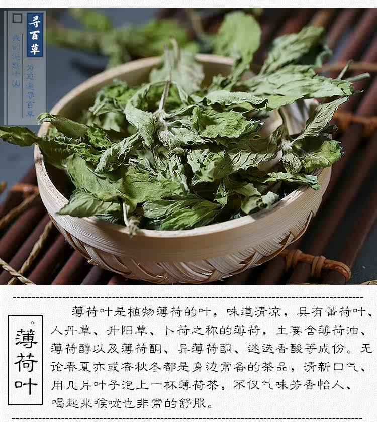 Mint Leaves_04.jpg