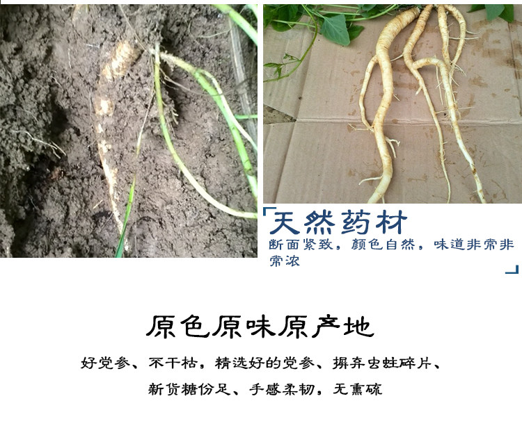 Партия ginseng_13.jpg