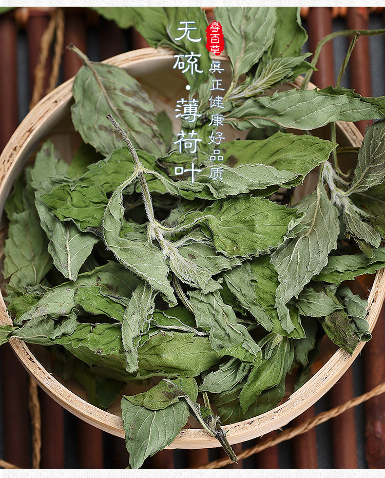Mint Leaves_02.jpg