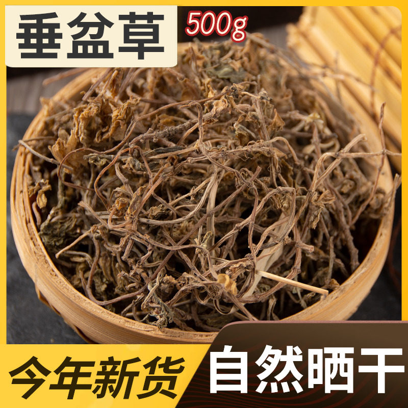 Finding Baicao Chinese herbal medicine, Chuanpeng grass, dried new goods without sulfur 500g