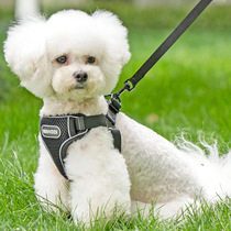 Summer breathable traction rope small and medium-sized dog pet teddy bulldog anti-breakaway adjustable night walking dog rope