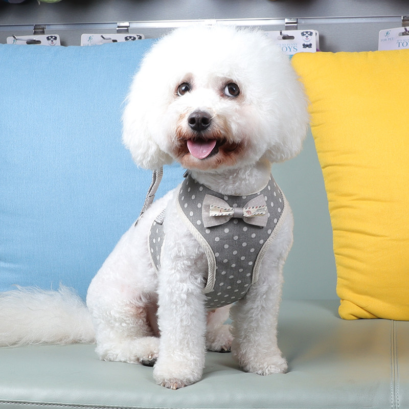 Dog Leash Teddy Bear Vest Harness Small Dog Walking Rope Dog Chain Cute Pet Supplies