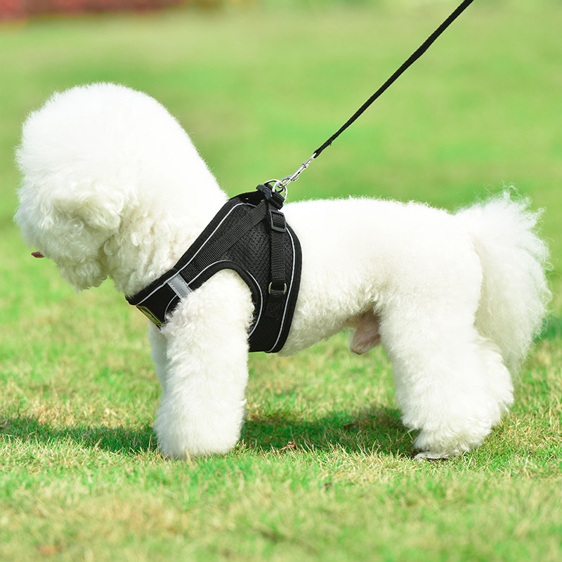 Bichon Teddy Dog Traction Rope Small Dog Chest Strap Vest Style Adjustable Reflective Breathable Summer Dog Chain
