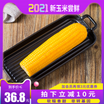 (Free 2 pieces of the same style)Xirui yellow glutinous corn 8 pieces*220g Northeast vacuum organic sweet sticky fresh whole grains