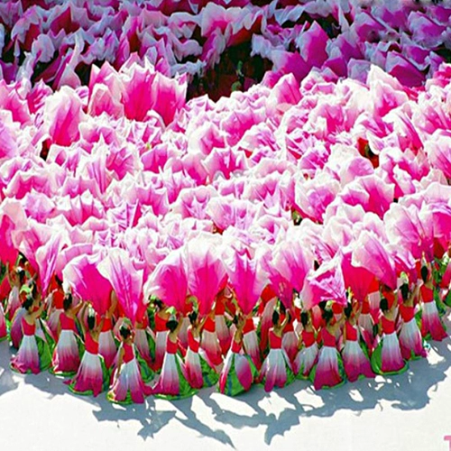 Шенши открытие цветов пион Большой лепесток танцевальный реквизит