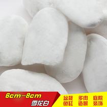 (10kg) fleshy decorative pebble flower pot plant paving colorful stone cobblestone white stone courtyard