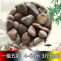 Nanjing Yuhua Stone Flower Pot Gardening Painting Pebbles Natural Colorful Stone Stone Stone Size Courtyard Fish Tank Original Stone