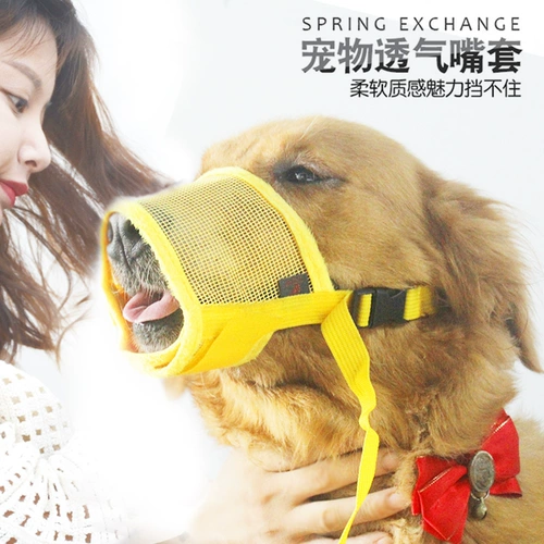 Обложка для рта собаки, собачья маска, анти -каркация называется средним большим лайки для собак, чтобы предотвратить случайное употребление золотистого ретривера для собак.