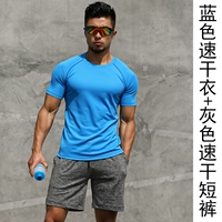 Синие быстросохнущие шорты