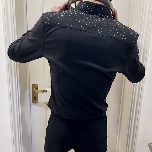 Лонгслив, дизайнерская рубашка для работы, осенний, тренд сезона