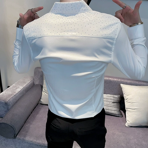 Лонгслив, дизайнерская рубашка для работы, осенний, тренд сезона