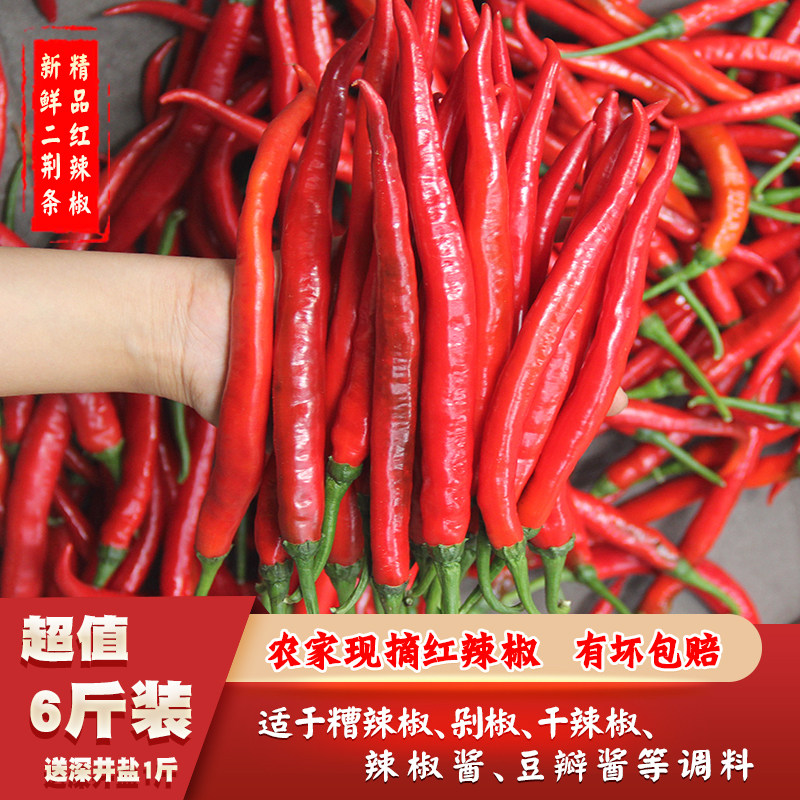 Guizhou farm self-planted two vitex red line peppers fresh sea peppers are now picked in the spicy bad spicy chopped peppers pickled peppers sharp peppers