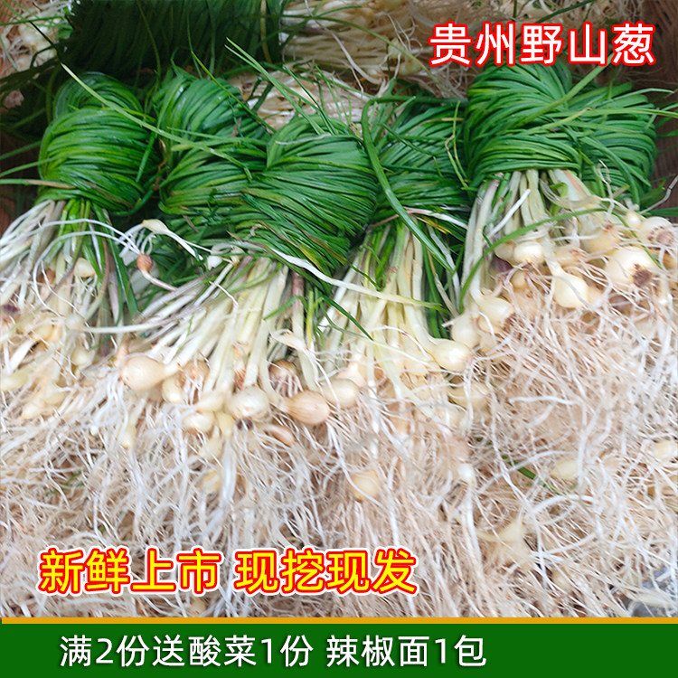 Guizhou special production of fresh and small garlic wild garlic wild vegetables wild scallions now dig farmhouse wild vegetables Allium white mountain onion bitter Chinese-Taobao
