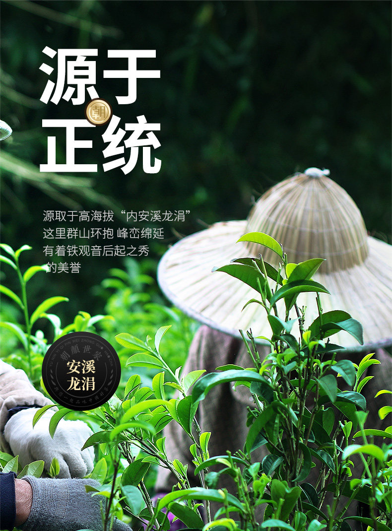 Tieguanyin_03.jpg