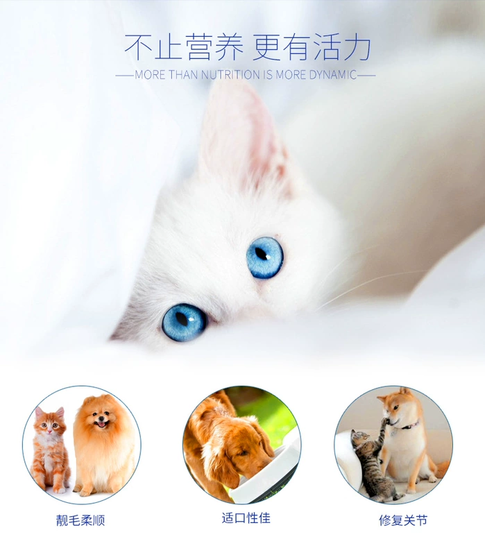 Wisconsin cat dog chung kem dinh dưỡng chó lớn lông vàng sửa chữa sản phẩm sức khỏe chung 120g