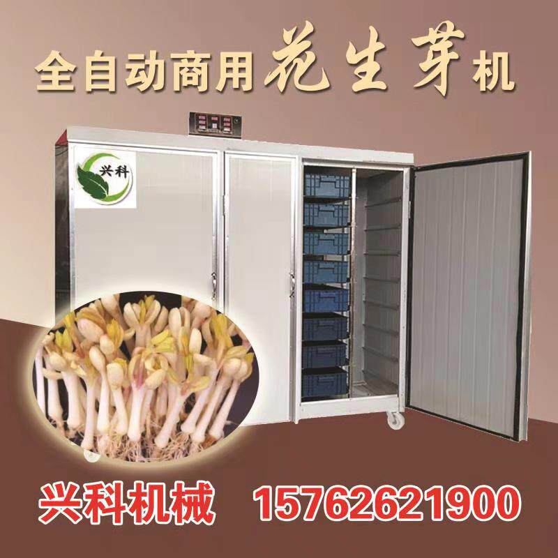 Factory direct supply peanut sprout machine Commercial automatic bean sprout machine Peanut bean sprout combination machine Hair bean sprout machine