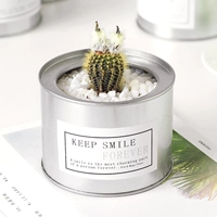 Tu -schild -silver bar [Crown S Amn 2-3 см]