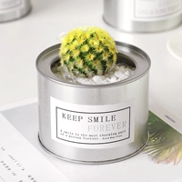 Короткий мао ​​Ван -Сильвер Бар [стена короны 4-5 см]