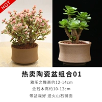 Деньги -яле танцевальная комбинация [фарфоровое горшок, керамический бассейн]