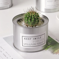 Ветряная корона -тибет [корона 4-5 см]