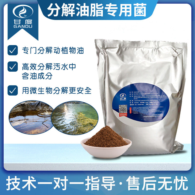 分解油脂专用菌含动植物油污水 微生物活性净水菌种粉剂型态