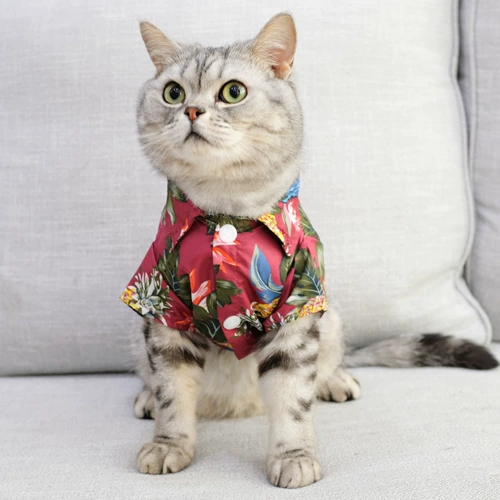 Шнурок-держатель, тонкая летняя одежда, летняя рубашка, популярно в интернете