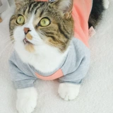 Кошачья одежда осенняя одежда весенняя одежда осень и зима милый синий кот анти -фар -меховой котен