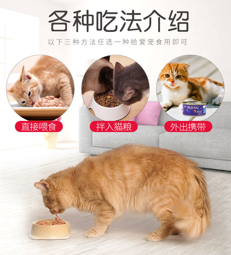 Mèo đóng hộp cá thịt trắng lớn vào mèo con mèo thức ăn ướt mèo ăn nhẹ cả hộp 24 lon thức ăn chủ yếu dinh dưỡng vỗ béo - Đồ ăn nhẹ cho mèo Hạt Whiskas cho mèo con