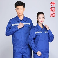 Весна и осень обновляется крупная ткань ян -орхидеи