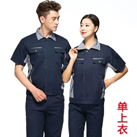 (Deluxe версия) Тибетская синяя светло -серая шейка.