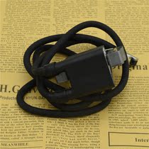 Ignition Coil For Briggs Stratton 394891 392329 590781