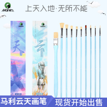 Ma Liyun water chalk watercolor oil painting special brush brush set Hook pen fan 10 sets