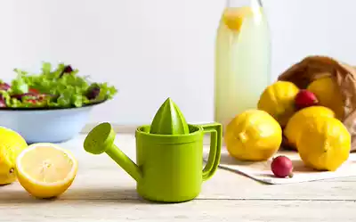 Israel Peleg Design lemon Manual Juicer creative water bottle juicer
