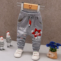 Брюки, звездный медведь серые