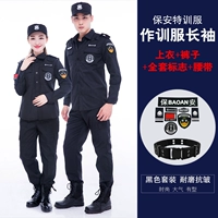 Комплект, ремень, полный комплект